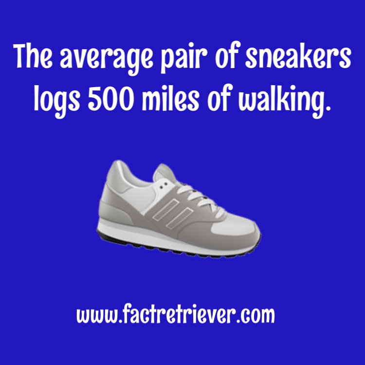 Southshore-Physical-Therapy_Metairie-Louisiana_Blog-Post_Sneakers_Last_500_Miles